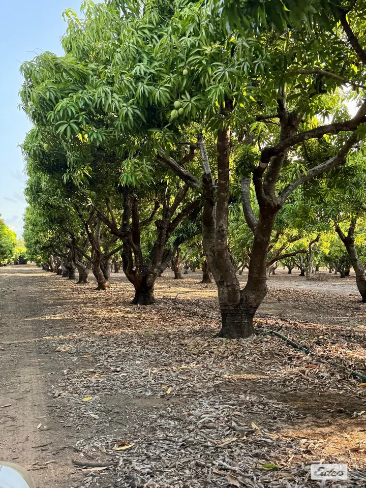 Additional image 29 of 80 & 100 Russ Road, Tumbling Waters NT 0822