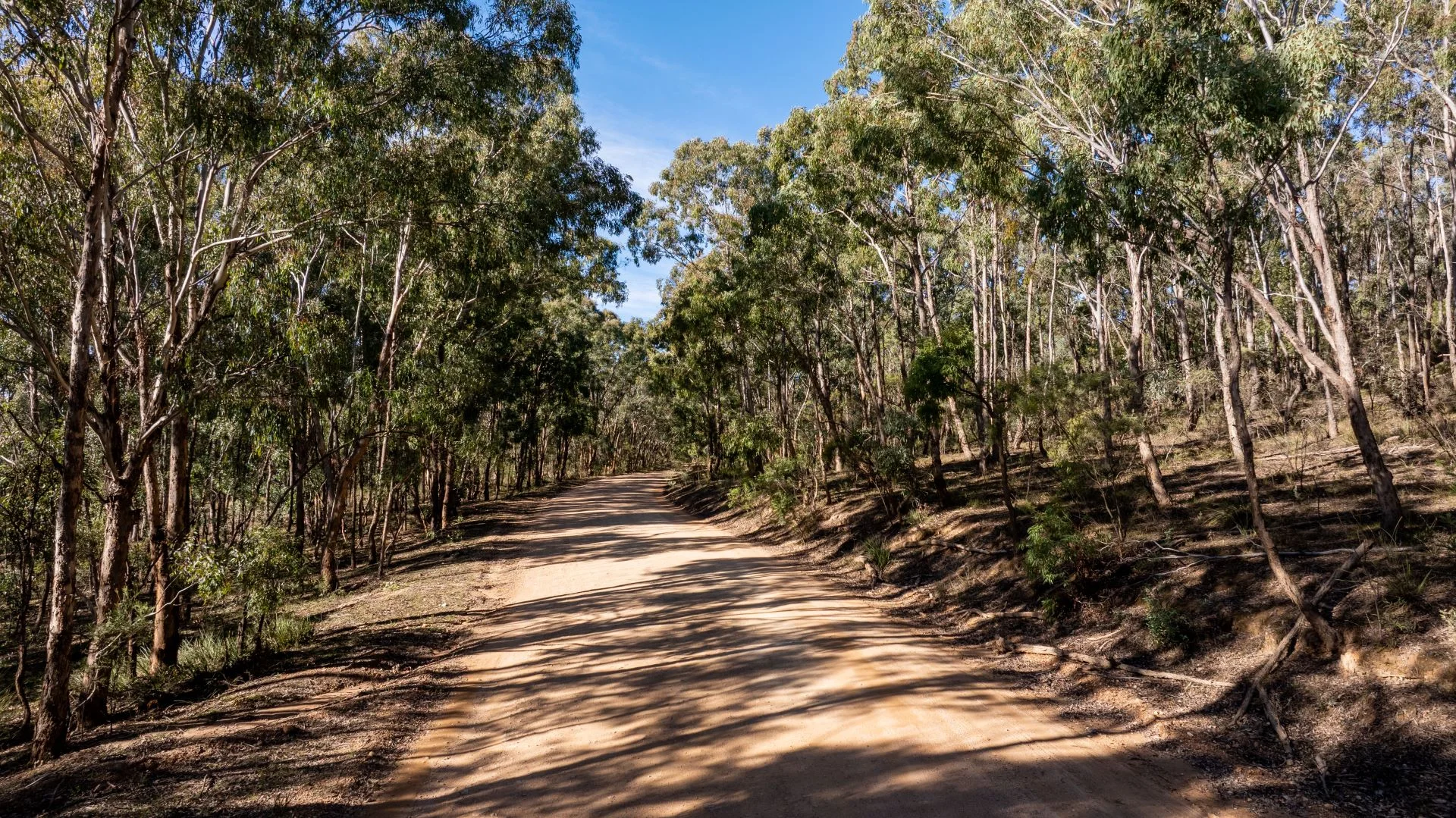 Additional image 3 of 318 White Cedars Road, Mudgee NSW 2850