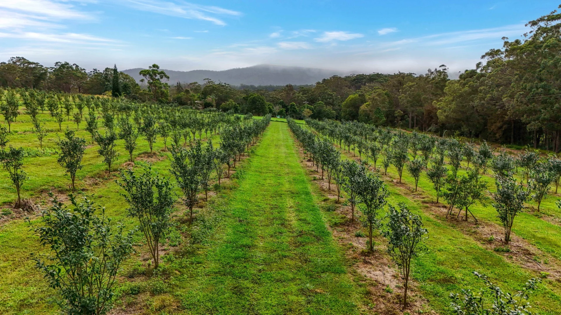 Additional image 2 of Lot 83 Chester Road, Wondecla QLD 4887