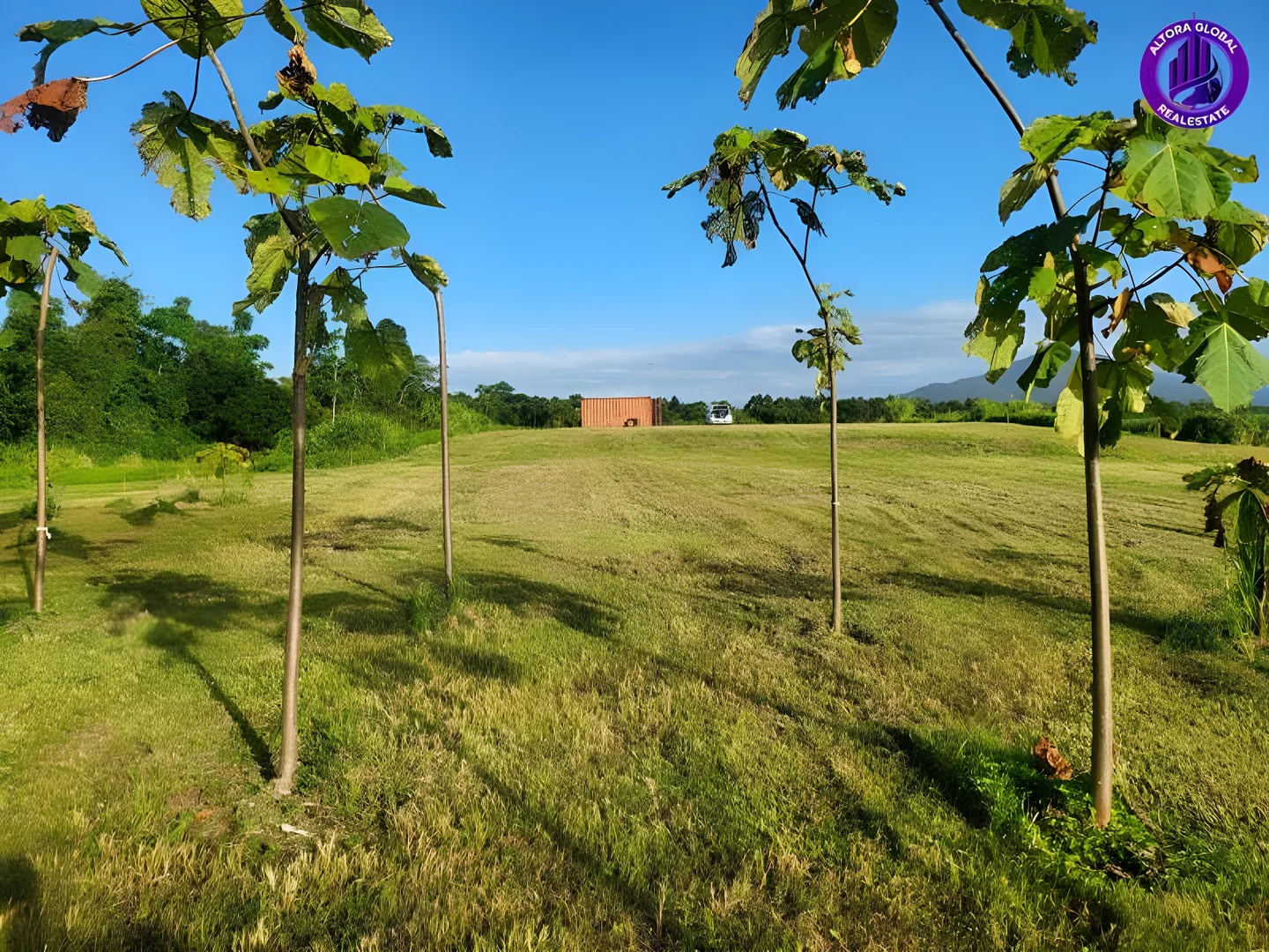 Additional image 4 of 9 Andy Sorbello Road, Silky Oak QLD 4854