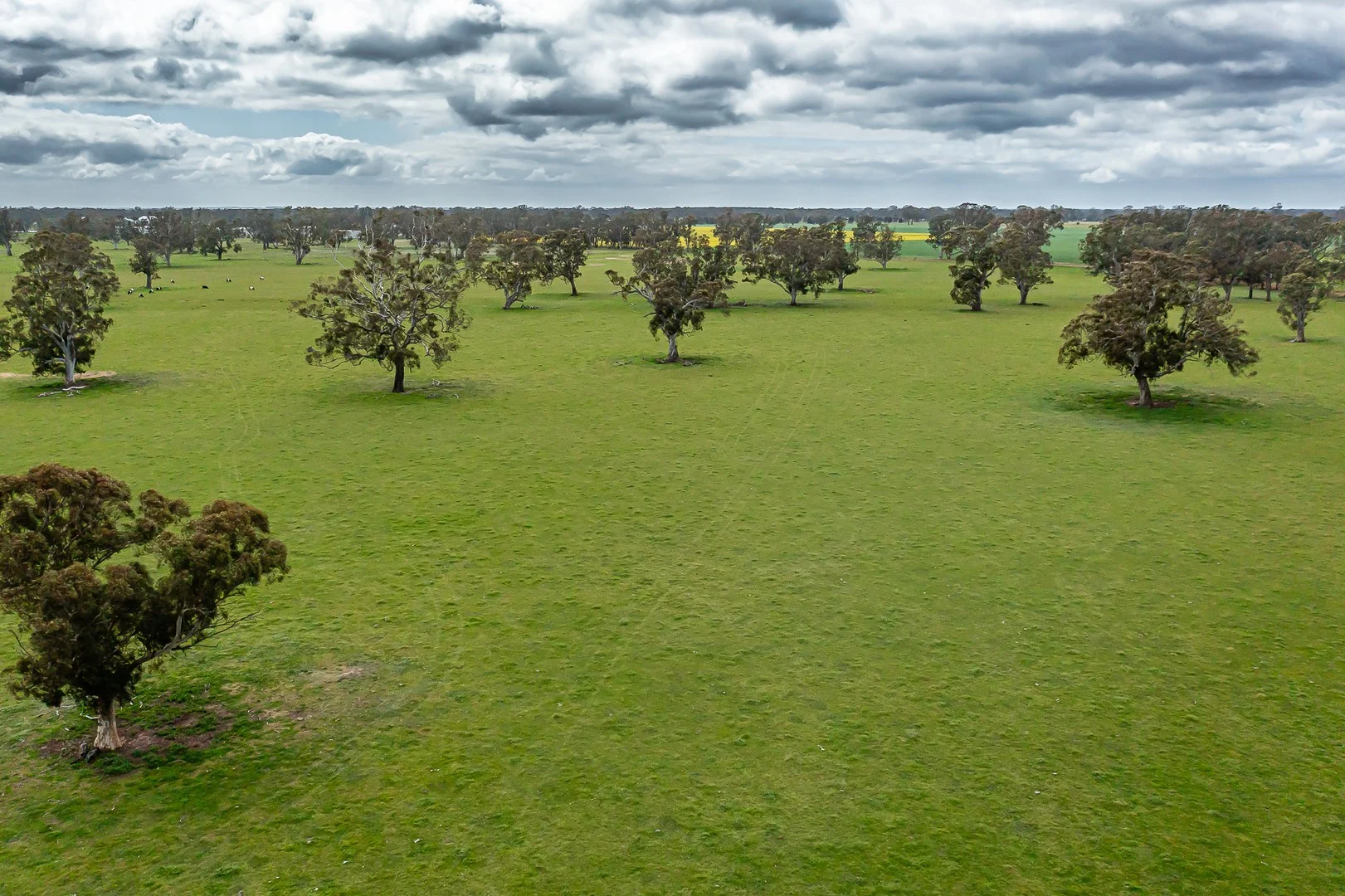 58 Camerons and Lampards Road, Charam VIC 3318