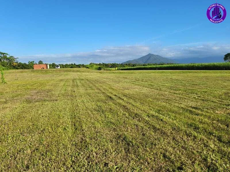 Additional image 9 of 9 Andy Sorbello Road, Silky Oak QLD 4854