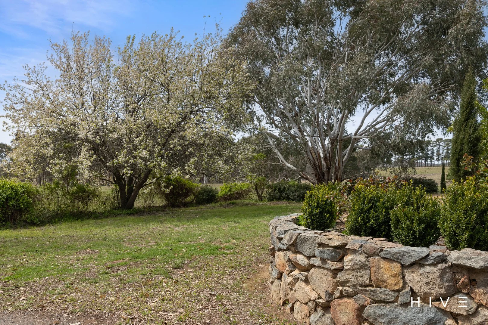 Additional image 20 of 31 David Street, Gundaroo NSW 2620