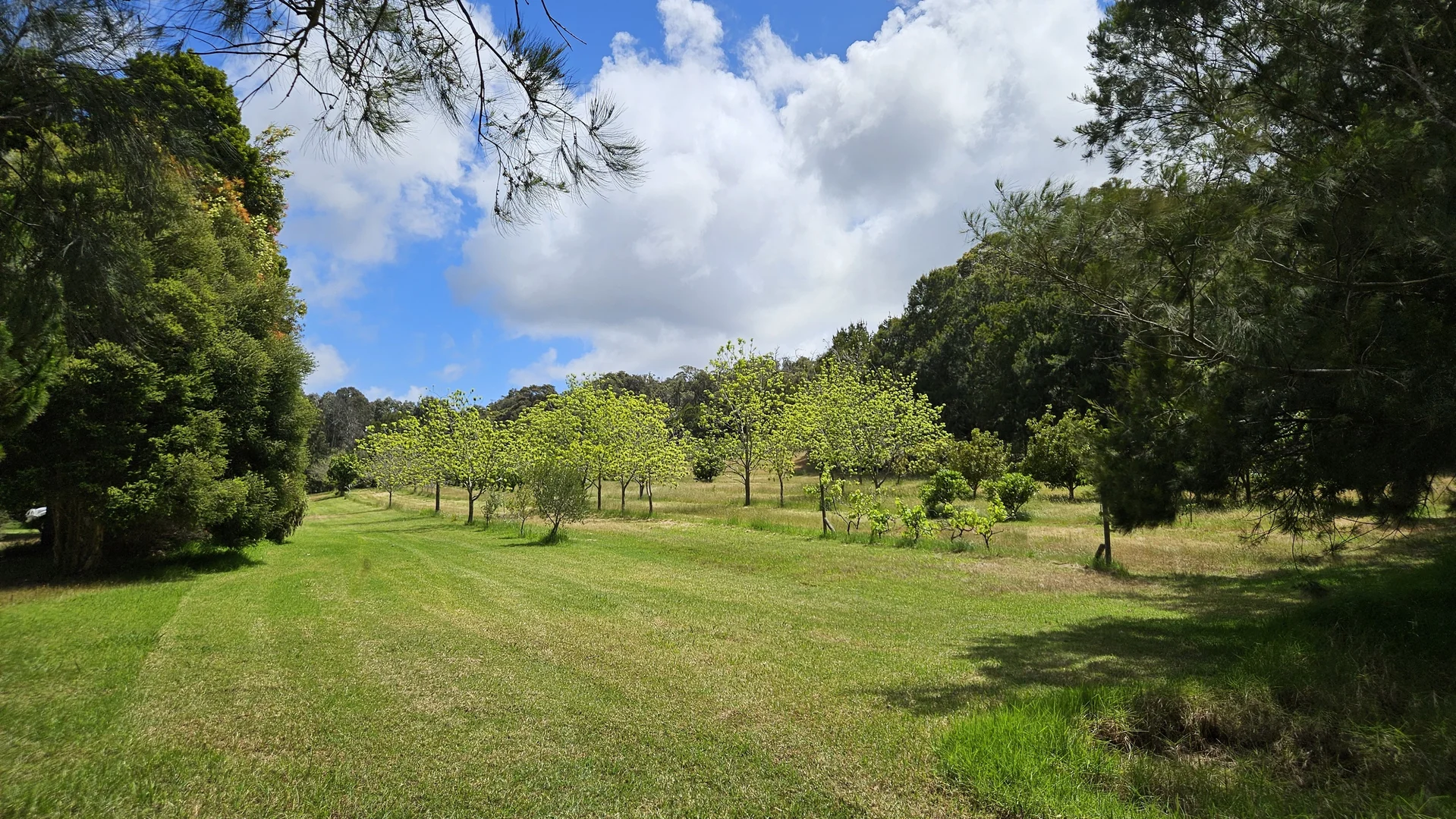 Additional image 33 of Lot PL 2/1120 Wildwood Road, Yallingup Siding WA 6282