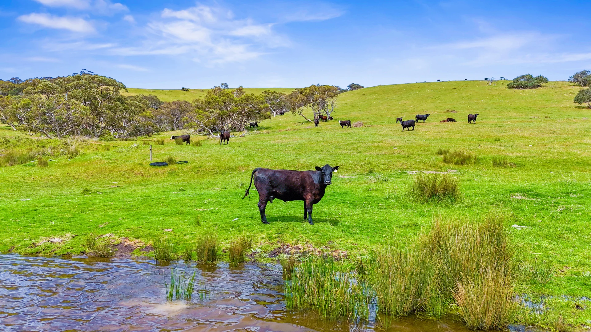 Additional image 13 of 700 Cleland Gully Road, Tooperang SA 5255