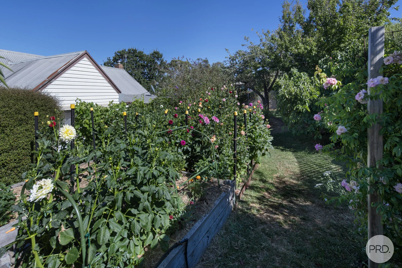 Additional image 15 of 9 Camp Street, Creswick VIC 3363