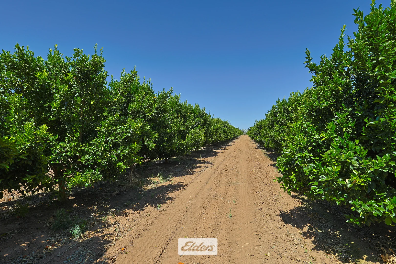 Additional image 5 of 310 Delta Road, Curlwaa NSW 2648