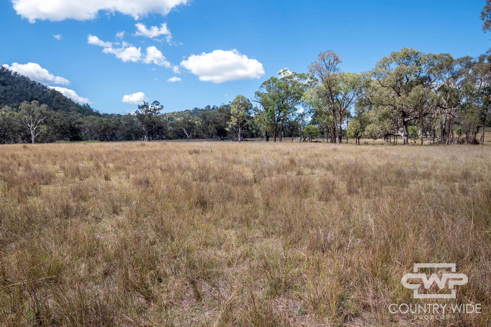 Additional image 7 of 82, 4108 Tent Hill Road, Emmaville NSW 2371