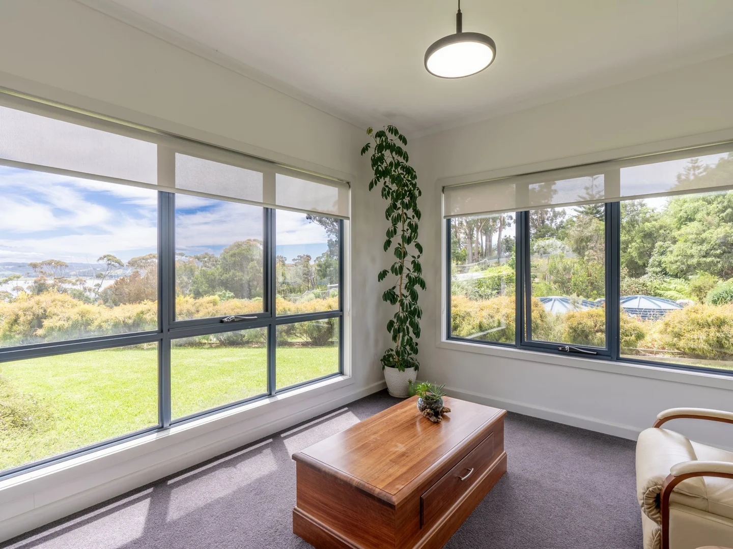 Additional image 12 of 19a Aerodrome Road, Stieglitz TAS 7216