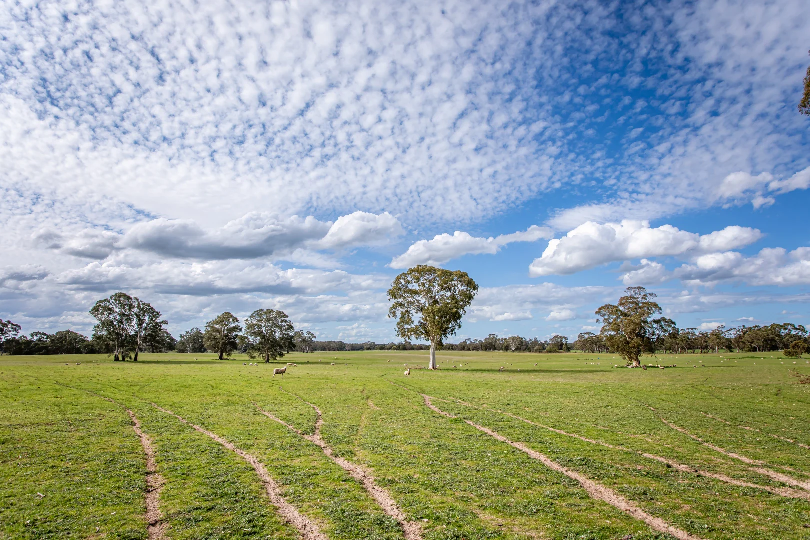 Additional image 18 of 219 Ockley Rd, Comaum SA 5277