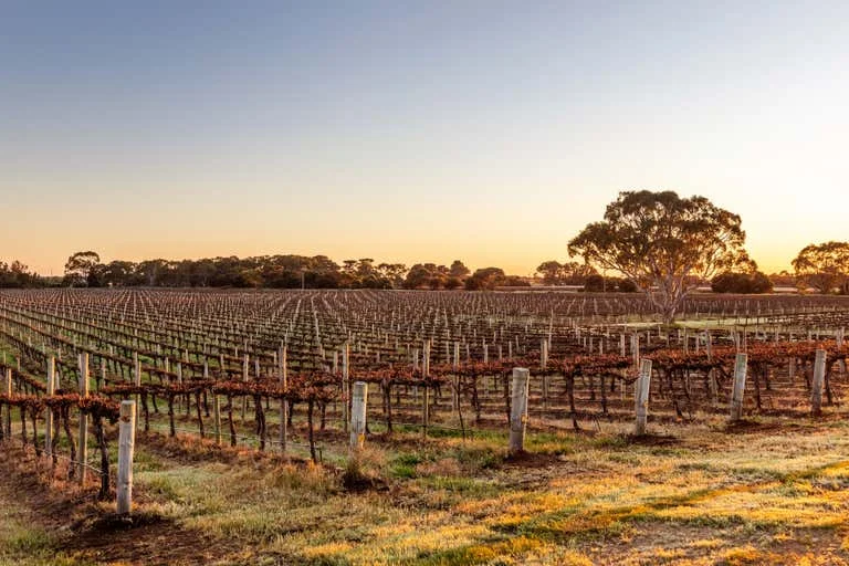 Additional image 6 of 634 Lake Plains Road, Lake Plains SA 5255