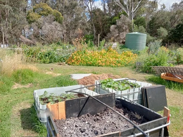 Additional image 12 of 6 Ellen Street, Brunswick WA 6224