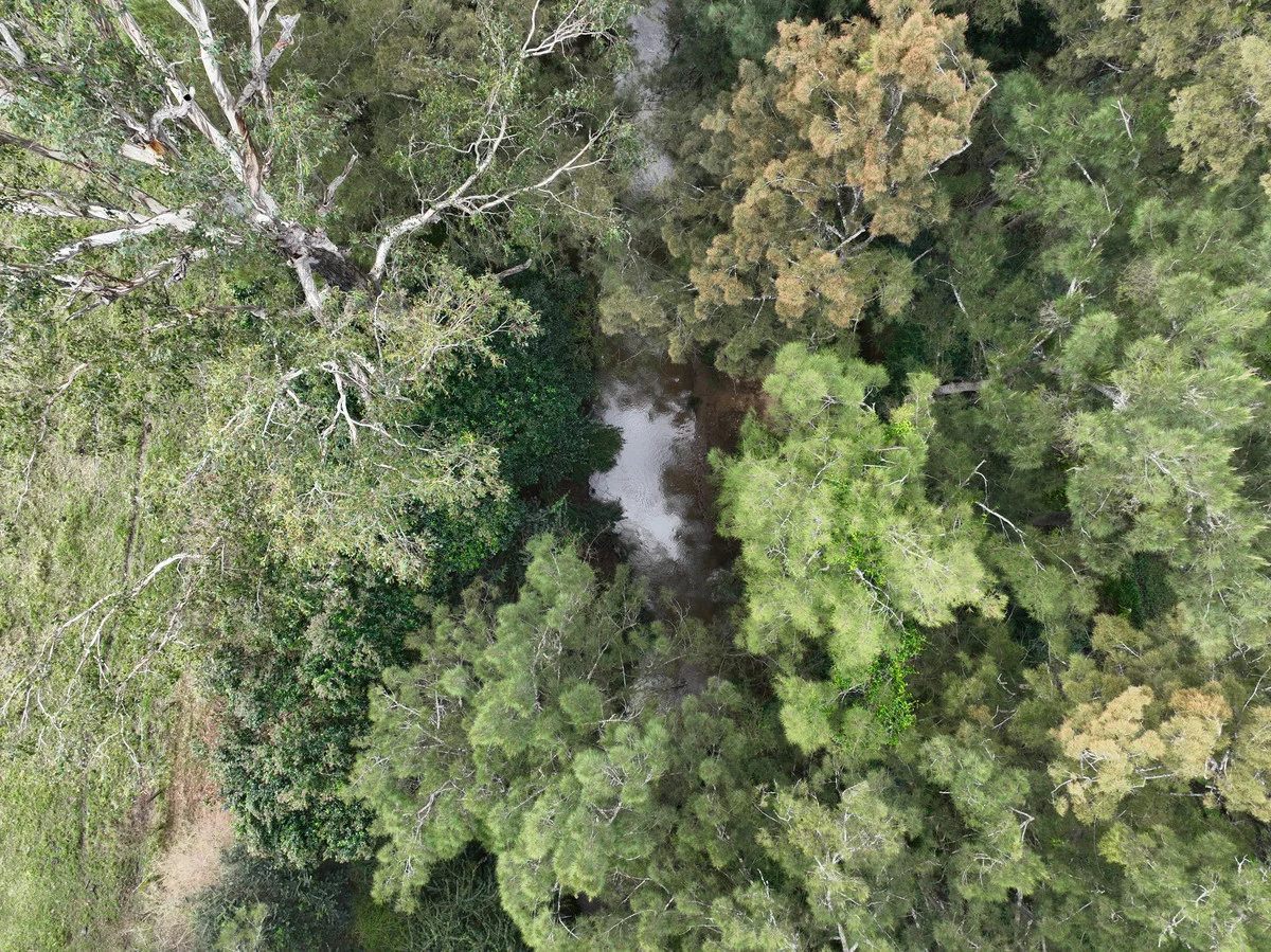 Additional image 27 of 15675 Clarence Way, Bean Creek NSW 2469