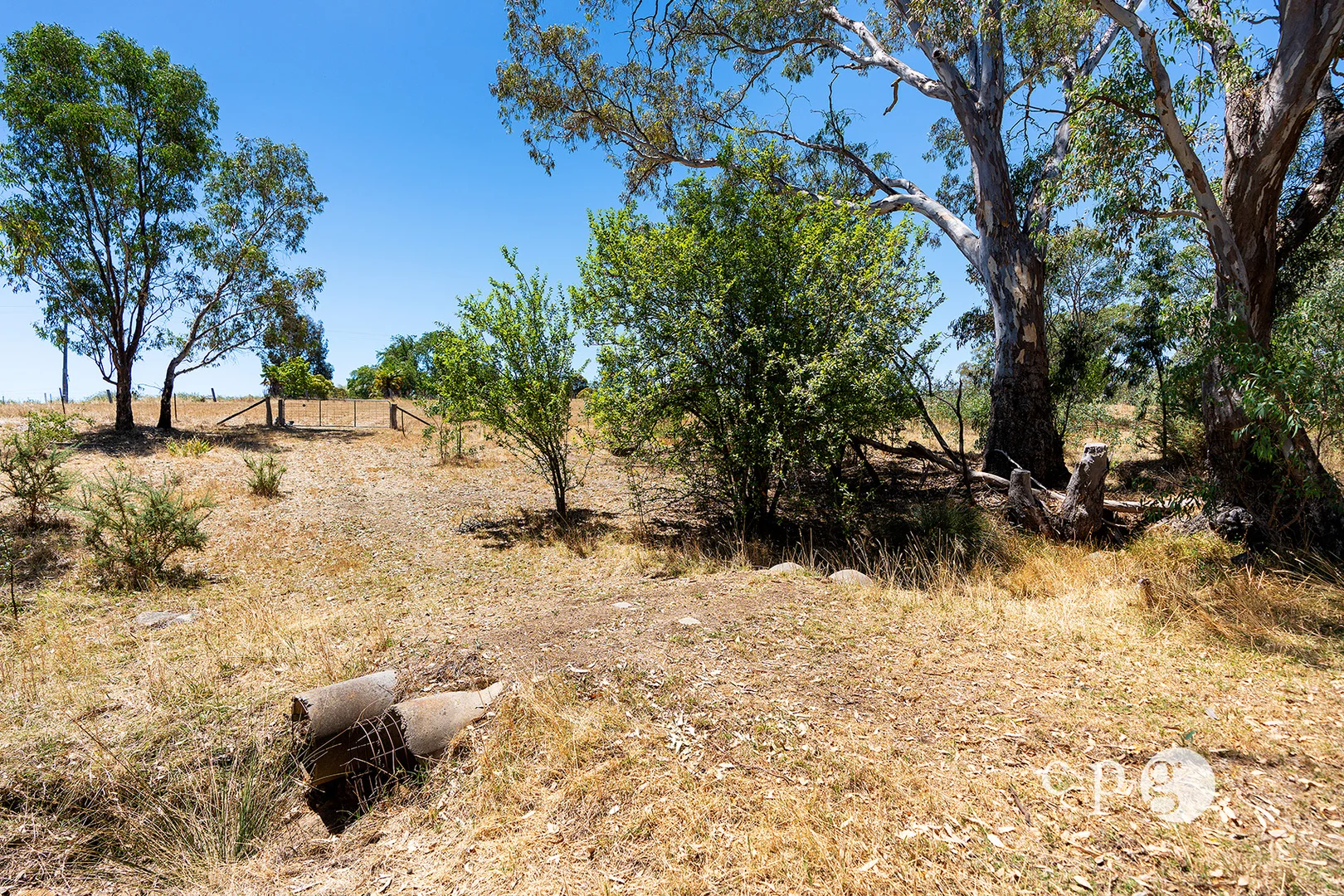 Additional image 16 of 256 Blackjack Road, Harcourt VIC 3453
