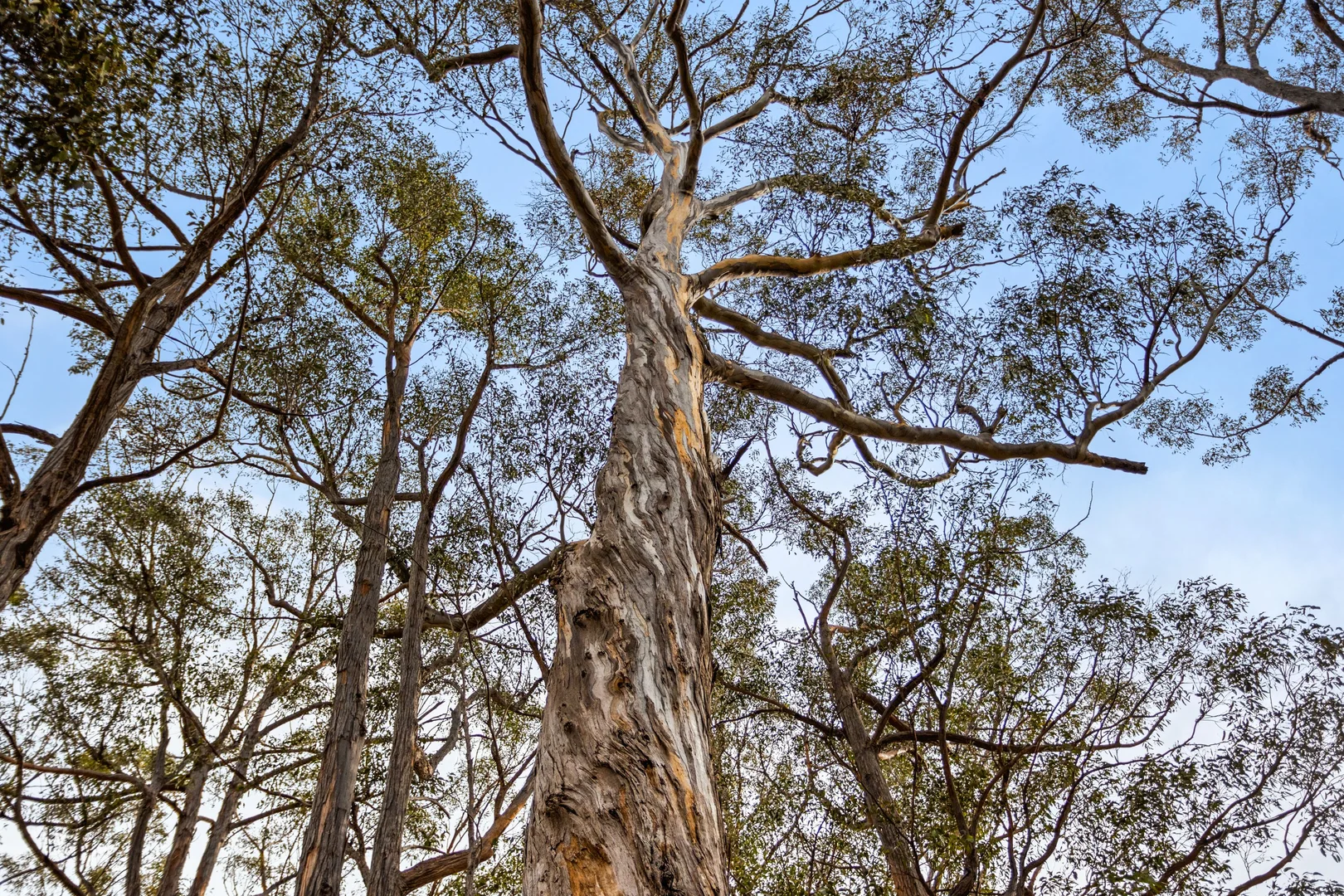 Additional image 7 of 90 Hackford Drive, Kingston TAS 7050