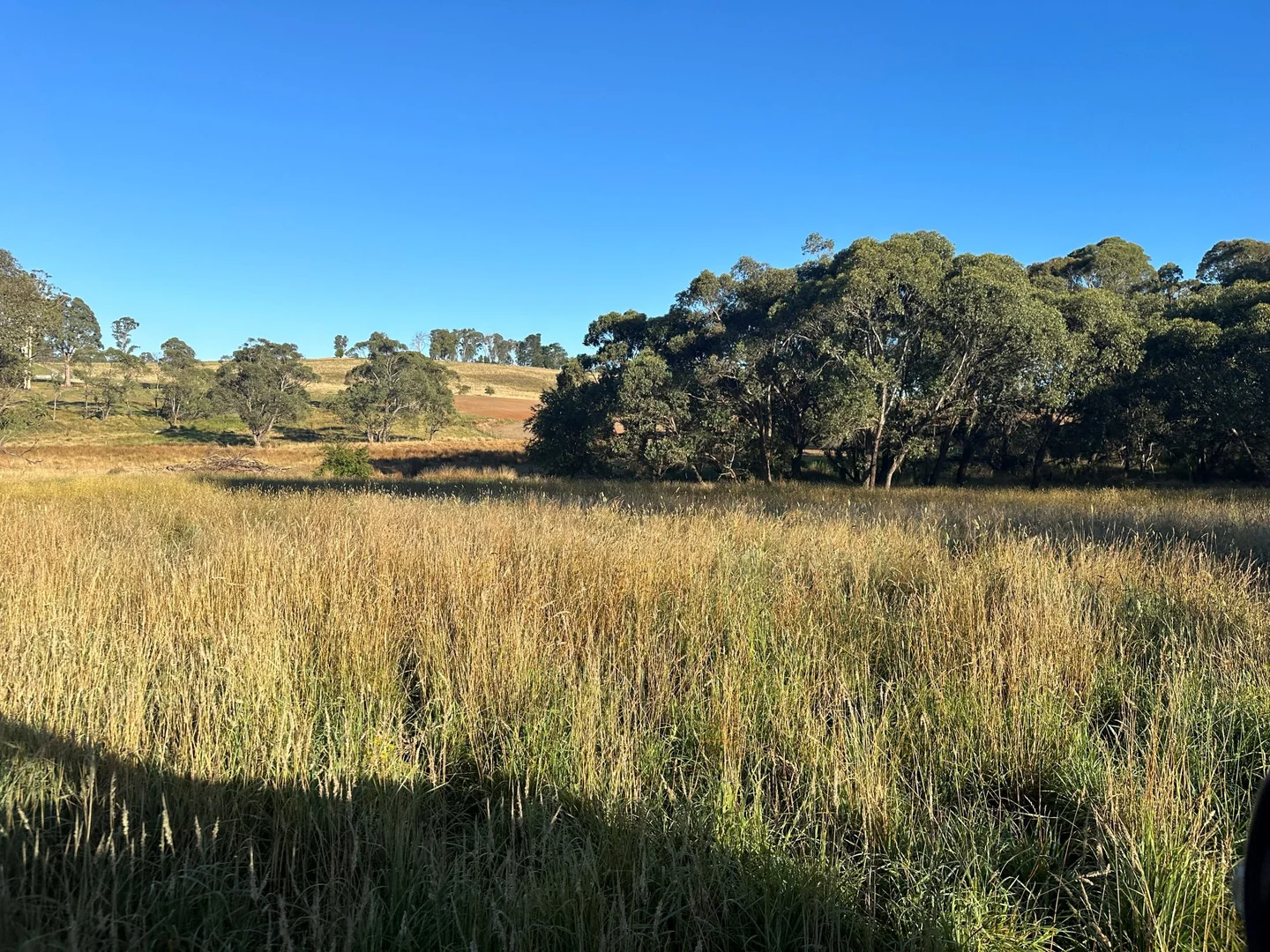 Additional image 14 of 1 Willigobung Road, Tumbarumba NSW 2653