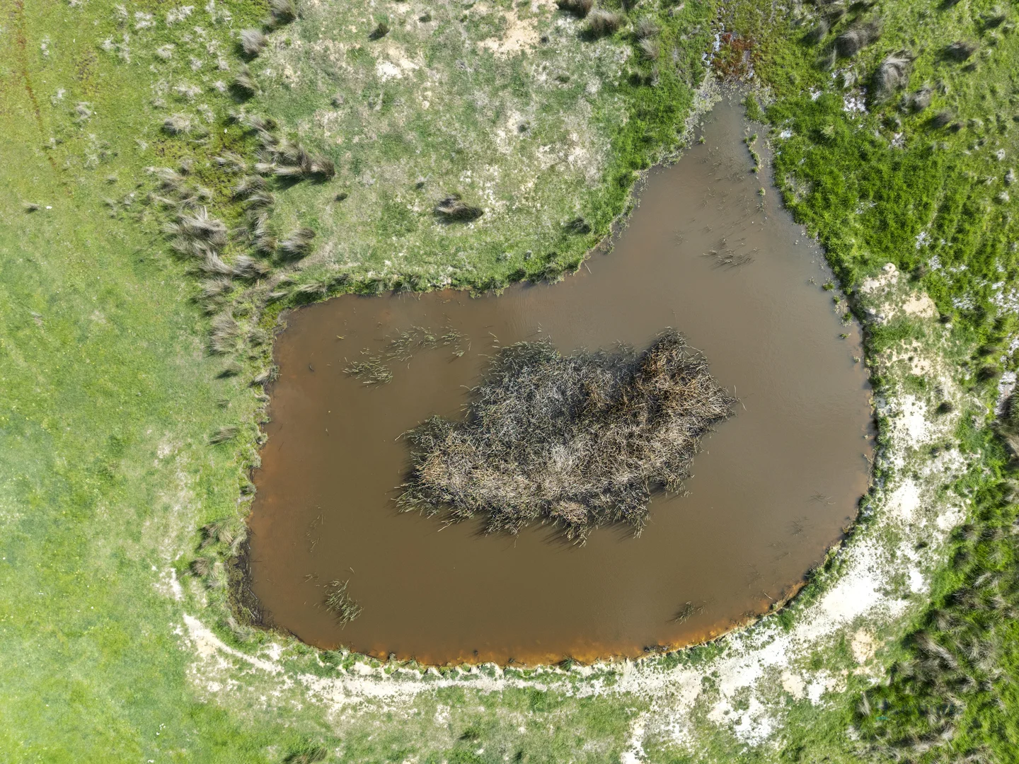 Additional image 19 of 99 Tames Road, Strathbogie VIC 3666