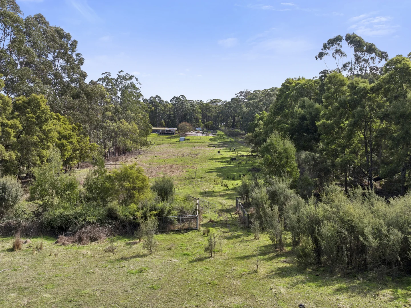 Additional image 16 of 585 Colac Lavers Hill Road, Barongarook VIC 3249