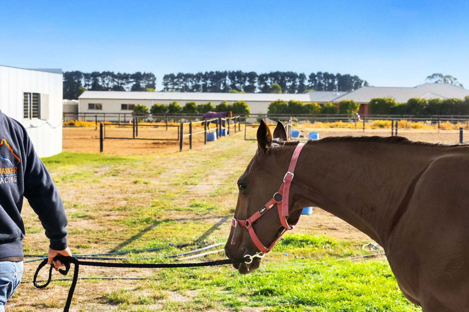 Additional image 17 of 61 Wiggins Road, Mitchell Park VIC 3355