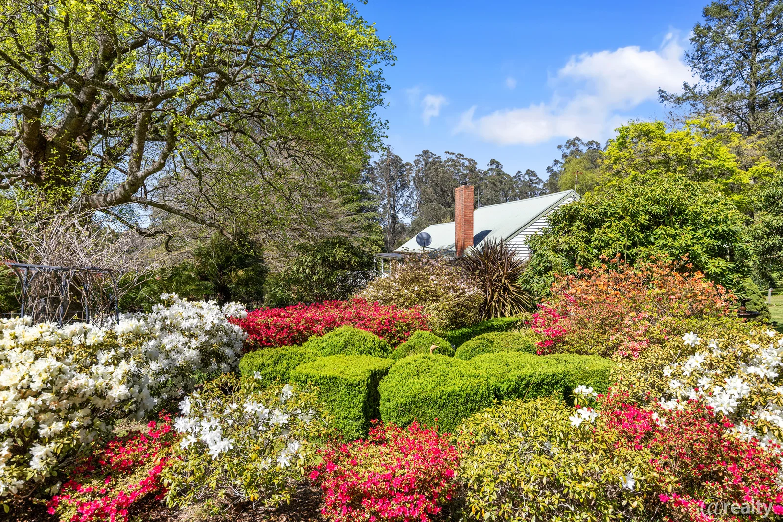Additional image 24 of 3/987 Myers Creek Road, Toolangi VIC 3777