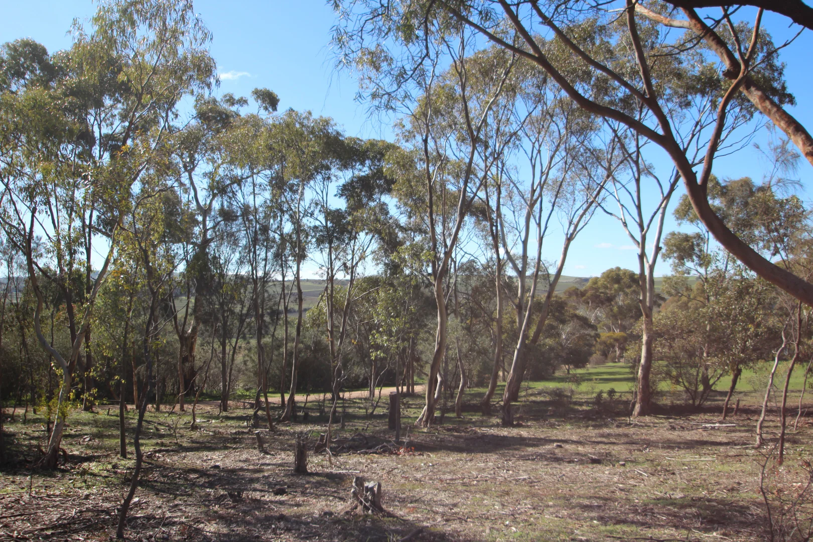 Additional image 9 of 9 West Terrace, Leasingham SA 5452