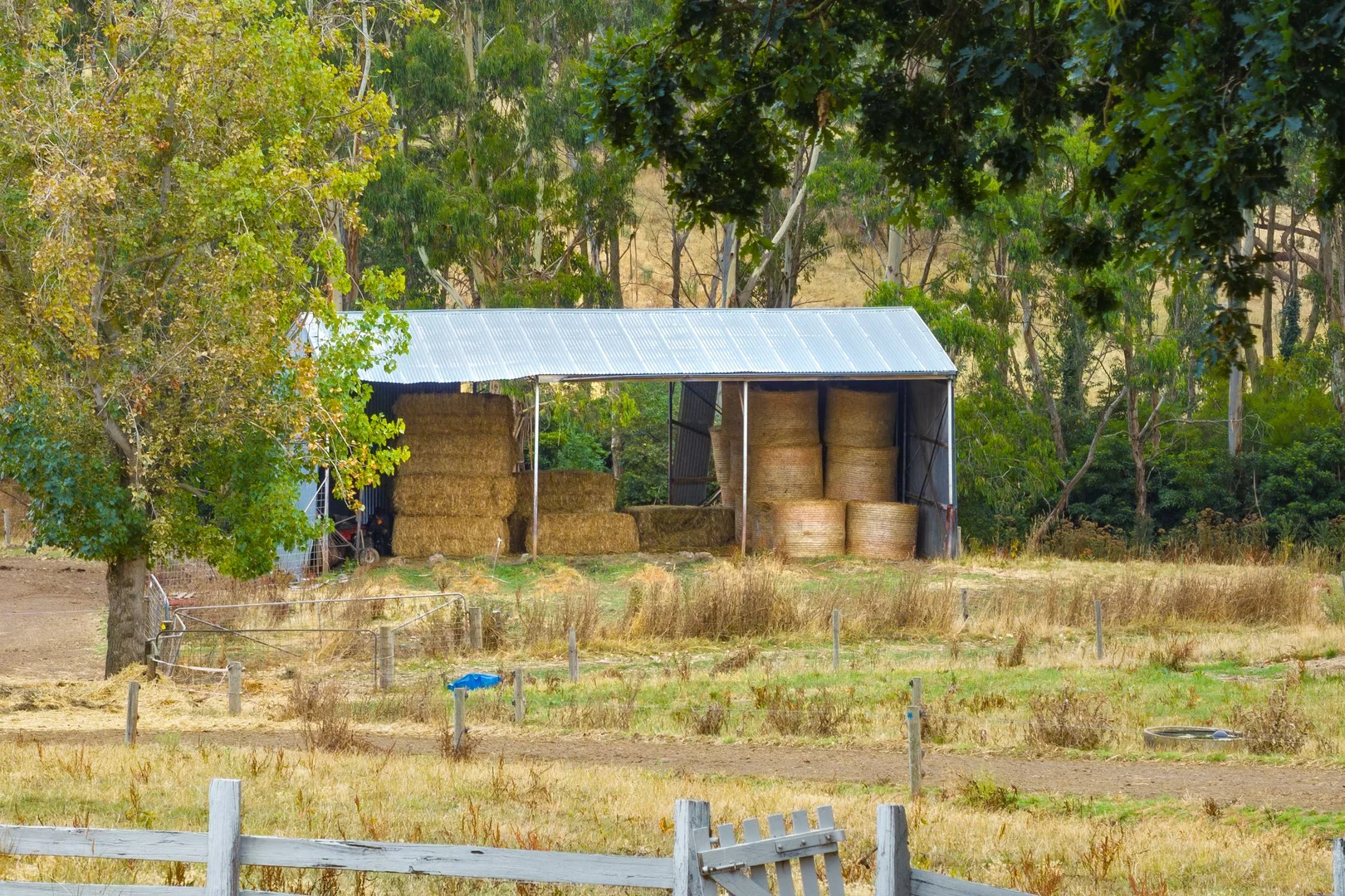 Additional image 26 of 170 Cobden Port Campbell Road, Scotts Creek VIC 3267