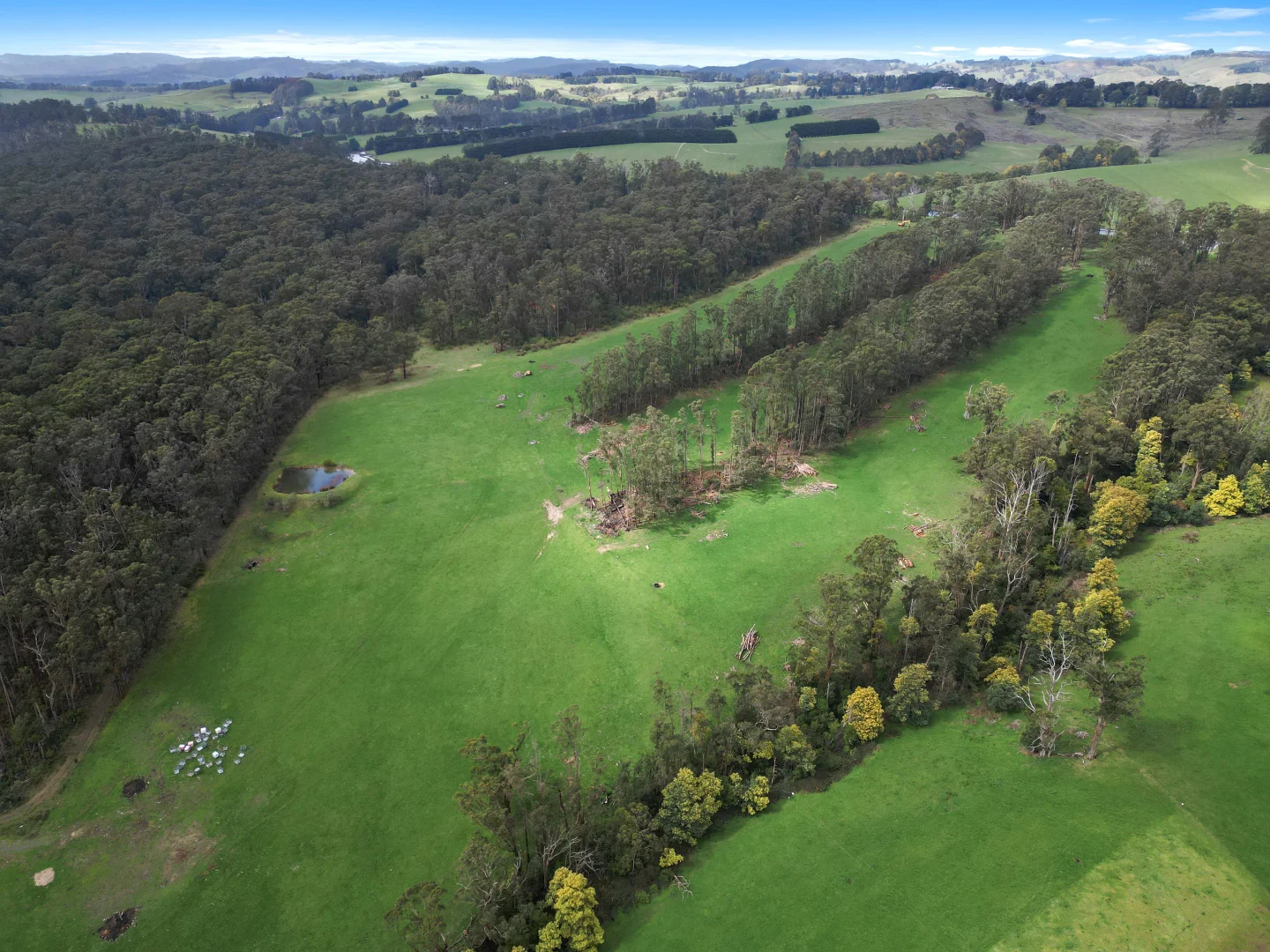 Additional image 6 of 280 Limonite Road, Boolarra South VIC 3870