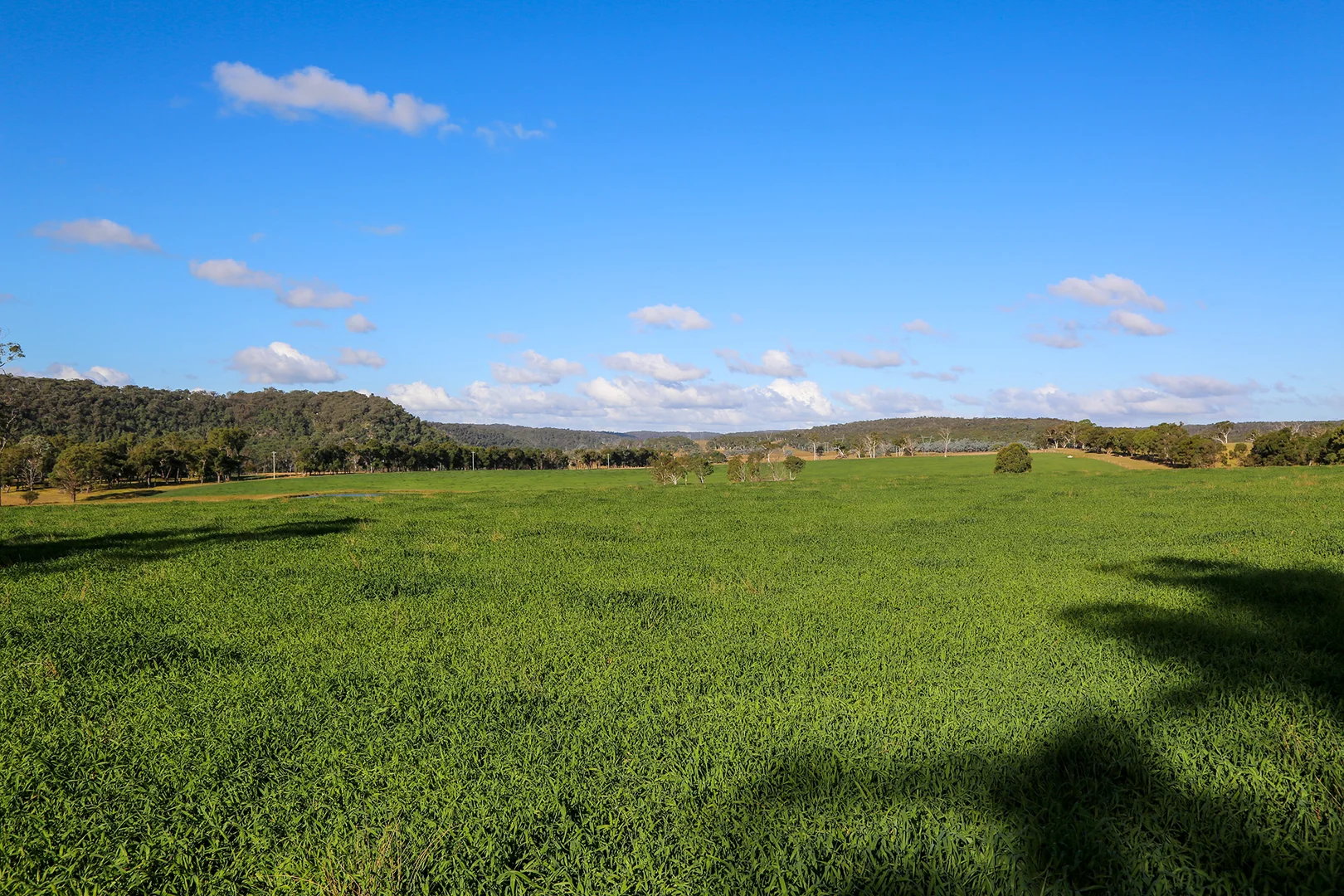 Additional image 31 of 710 Inverary Road, Paddys River NSW 2577