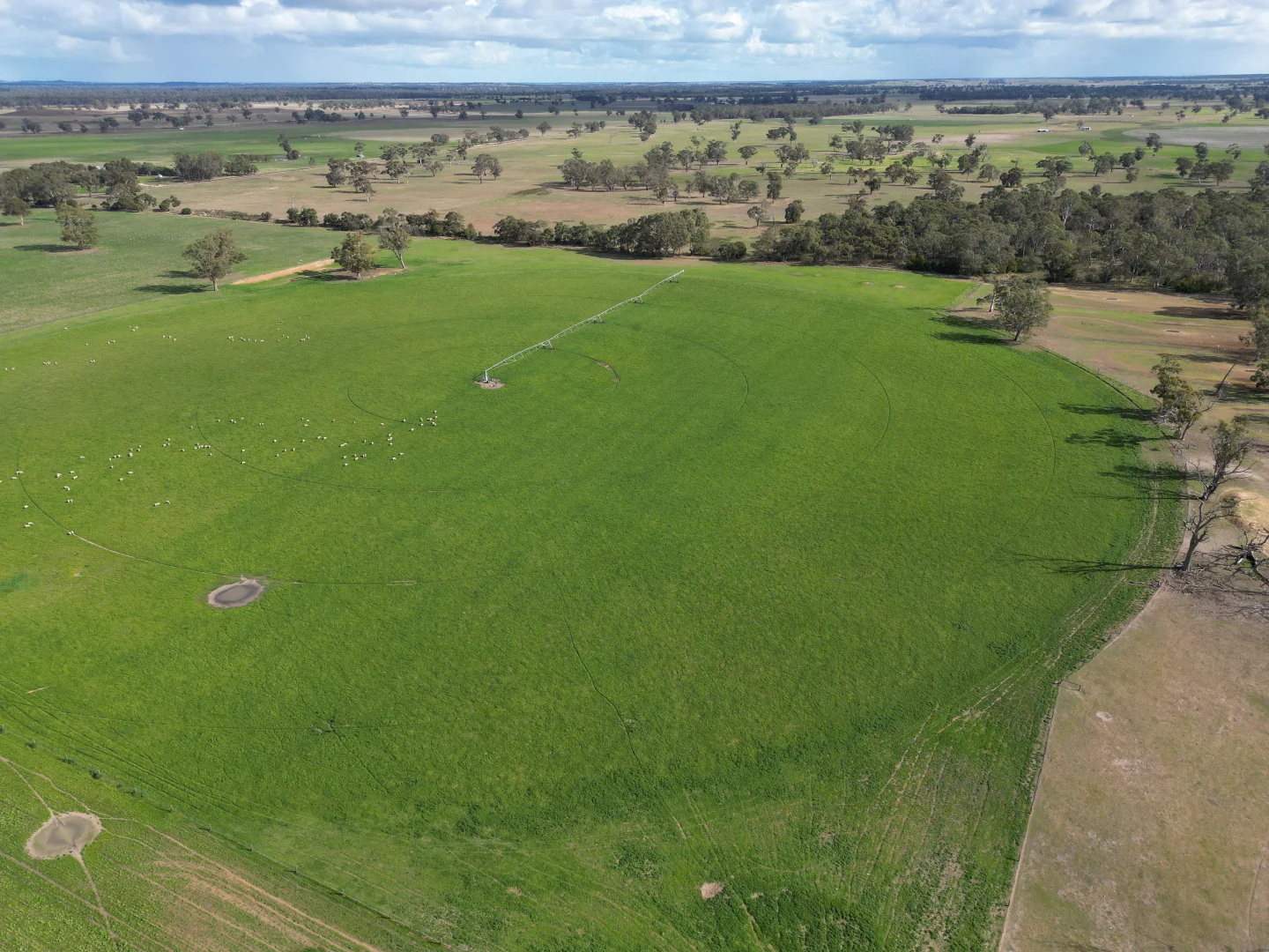 Additional image 8 of 71 Joys Road, Binnum SA 5262