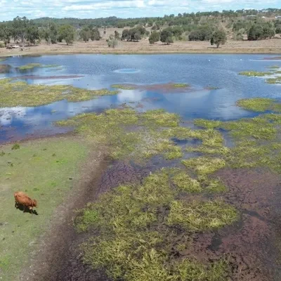 Blanche Road Salmon Road, Garnant QLD 4702