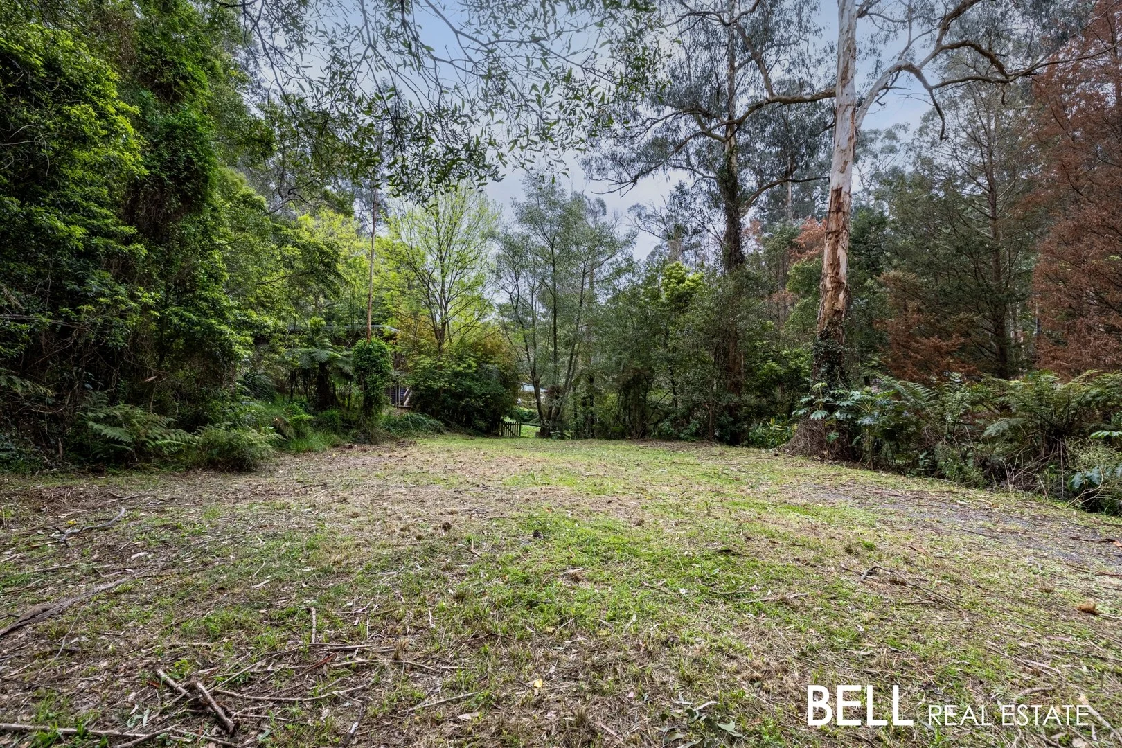 Additional image 3 of 103 Belgrave-Gembrook Road, Selby VIC 3159