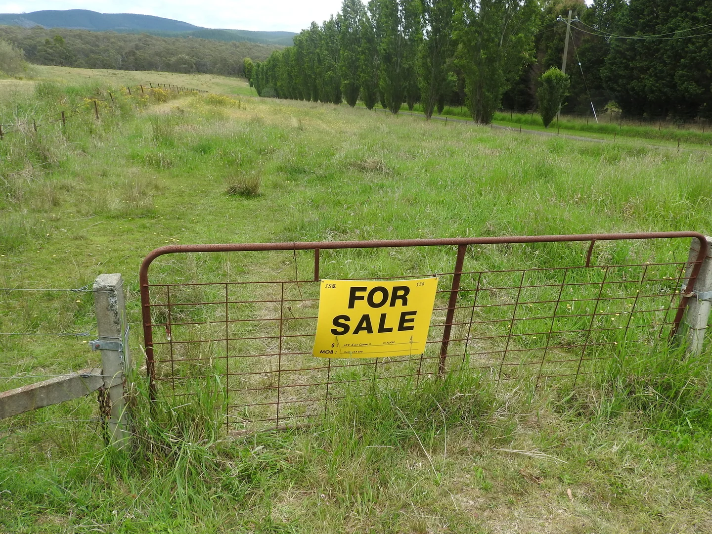 Additional image 9 of 158 Sunny Corner Road, Portland NSW 2847