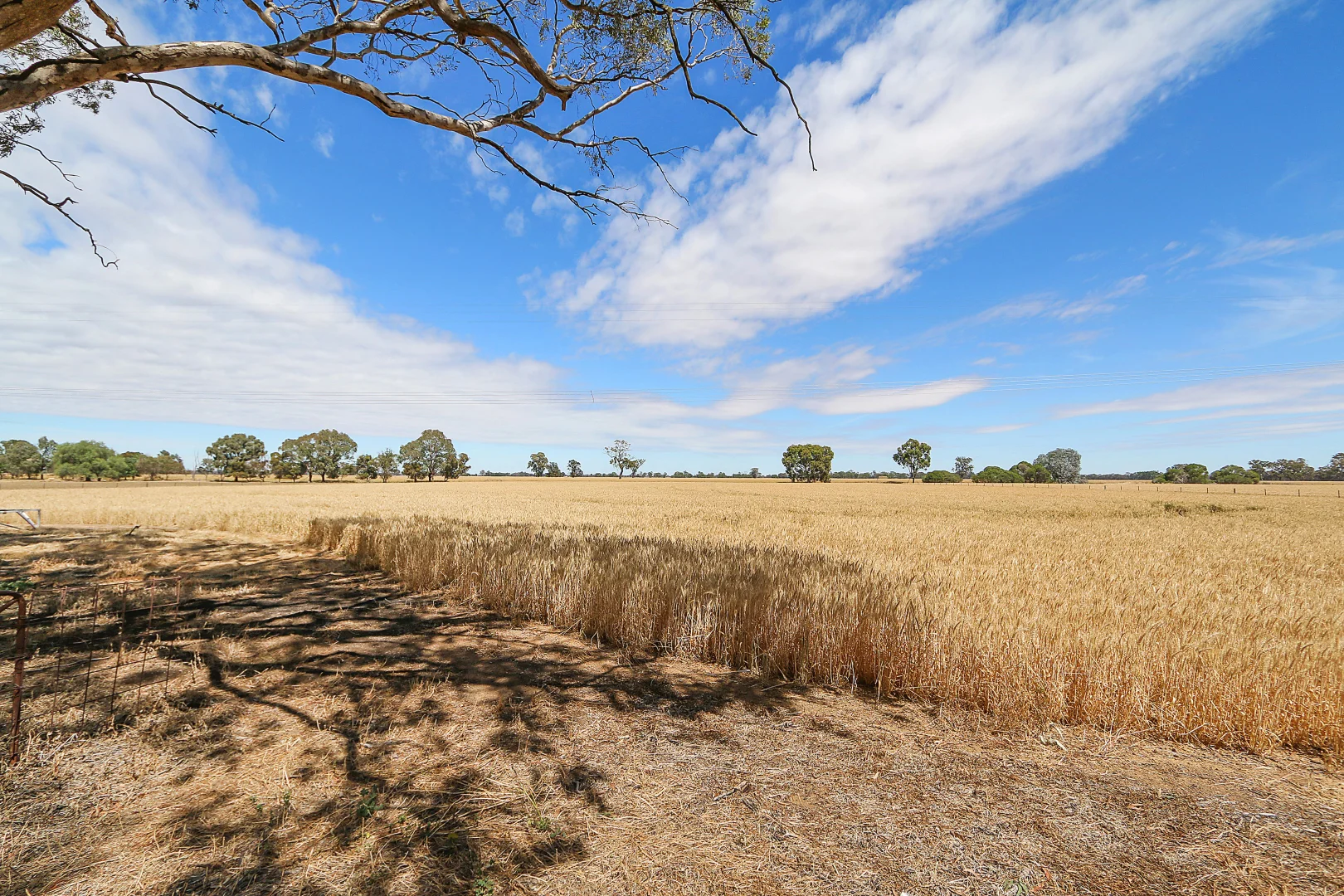 Additional image 30 of 303 Skehans Lane, Corowa NSW 2646