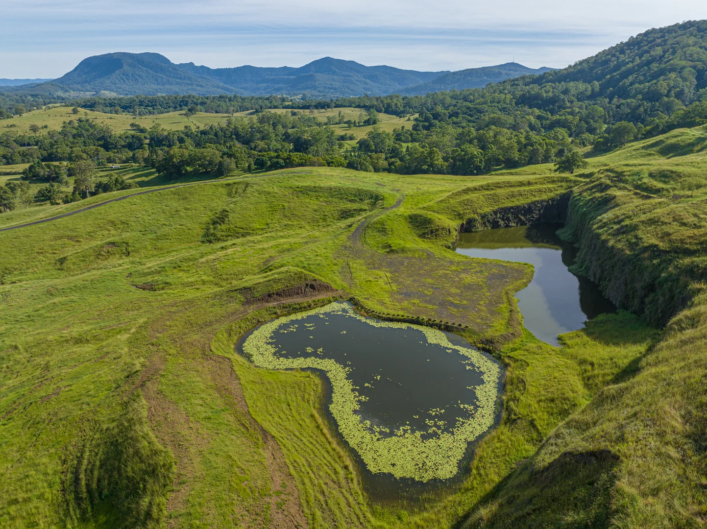 Additional image 17 of 2298 Nimbin Road, Nimbin NSW 2480