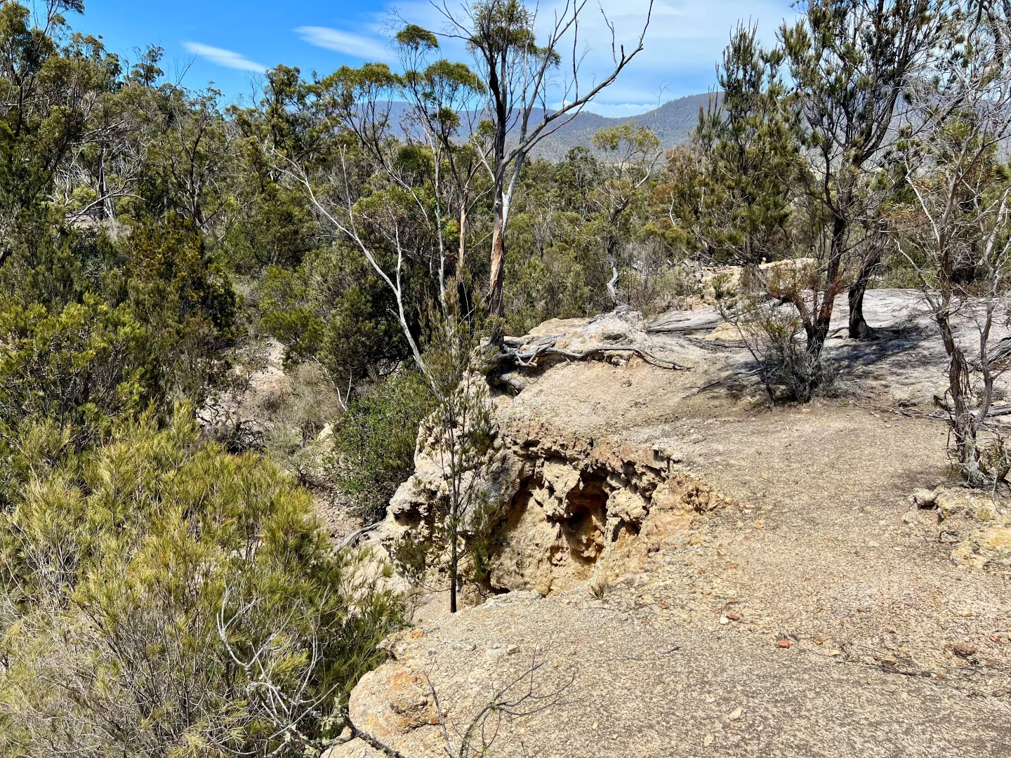 Additional image 27 of 3 Leona Road, Avoca TAS 7213