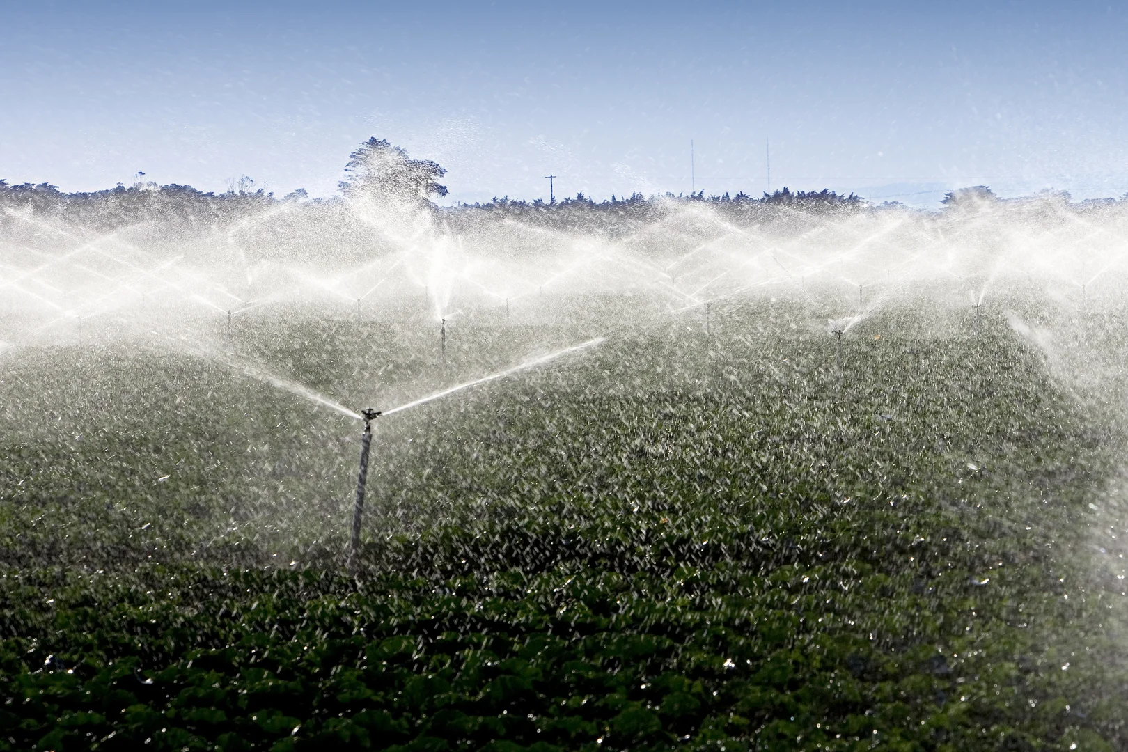 Additional image 7 of 695 Duncans Road, Werribee South VIC 3030