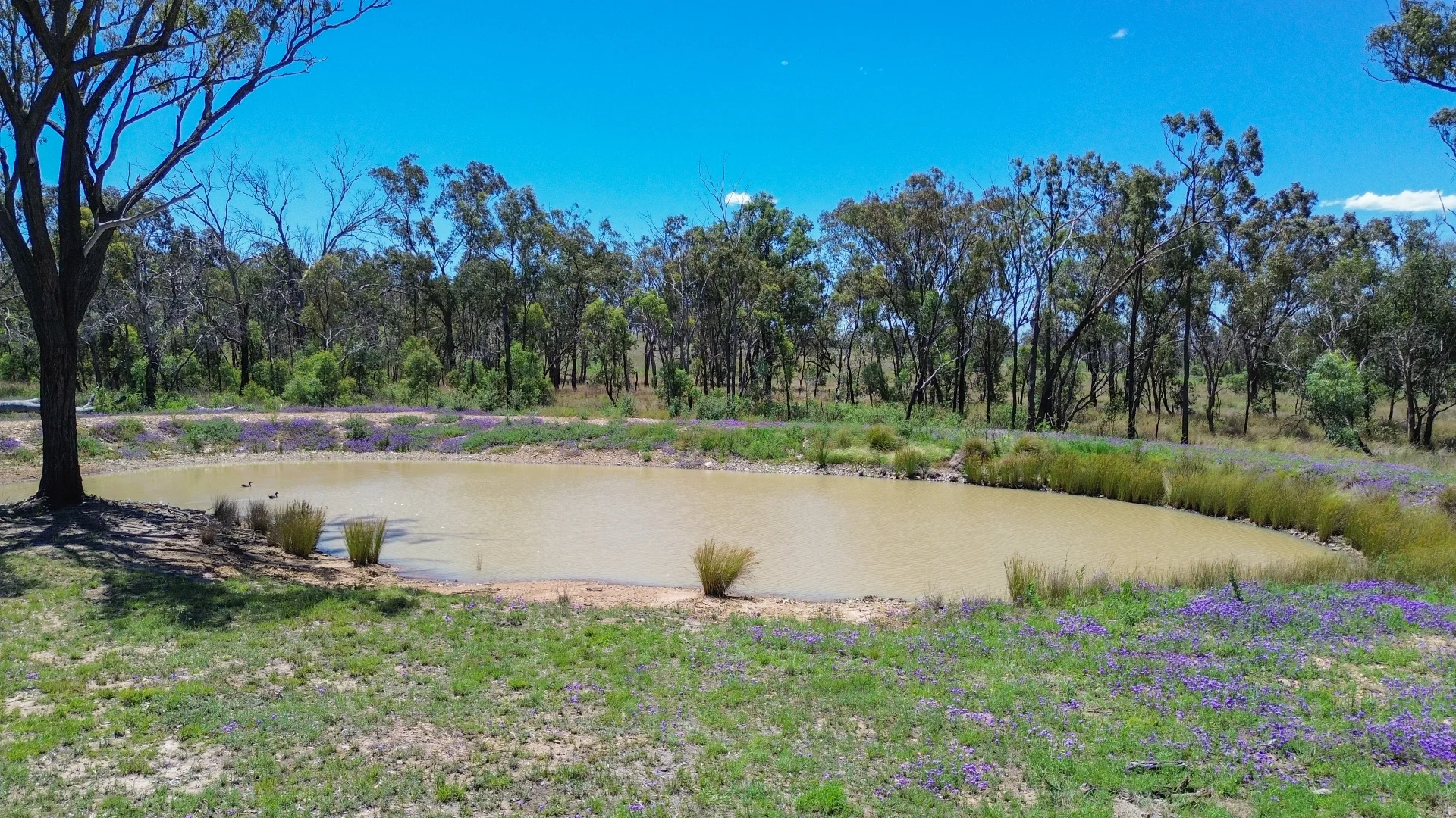 Additional image 16 of 39 Thanes Creek Road, Thane QLD 4370