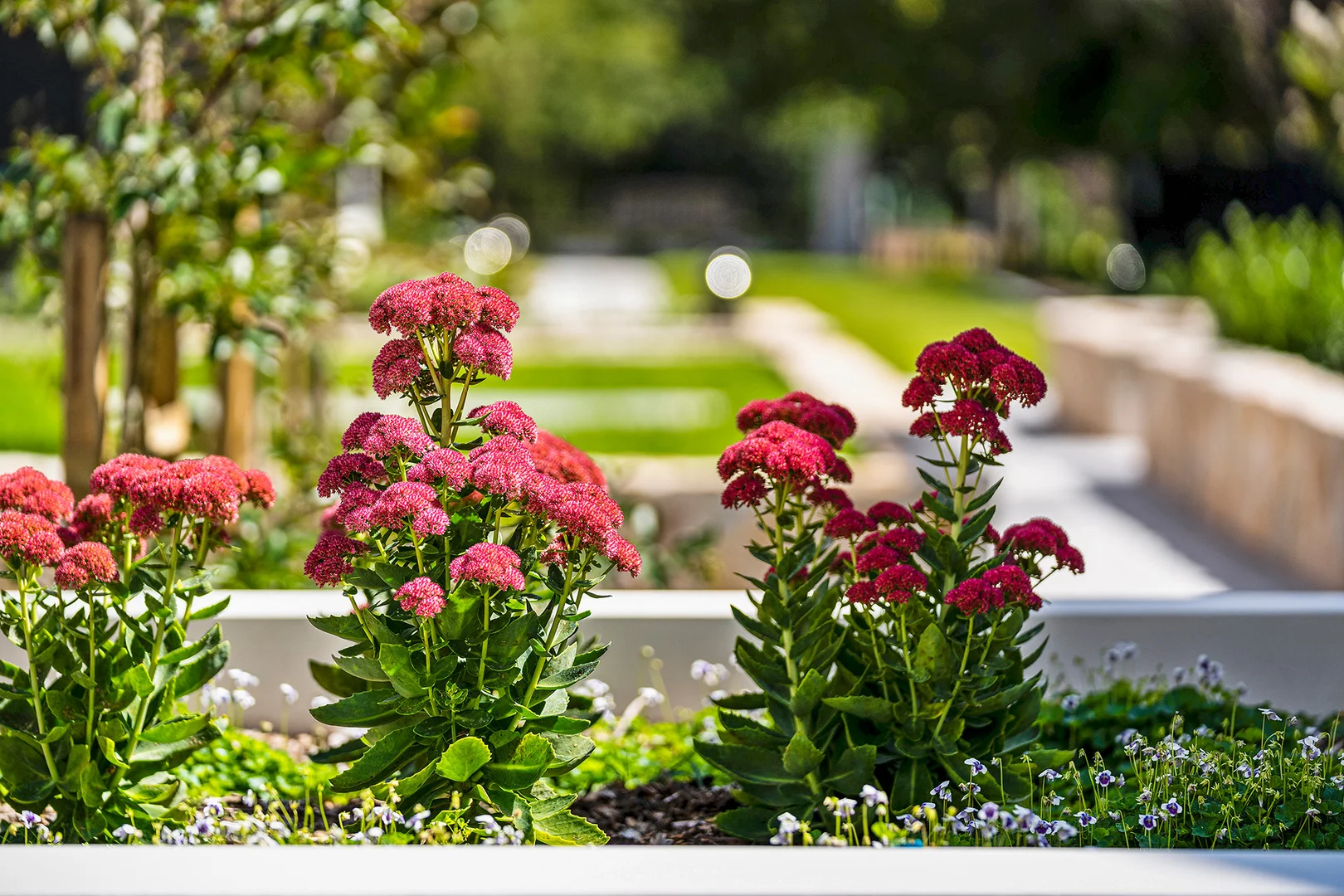 Additional image 14 of 444 Moss Vale Road, Bowral NSW 2576