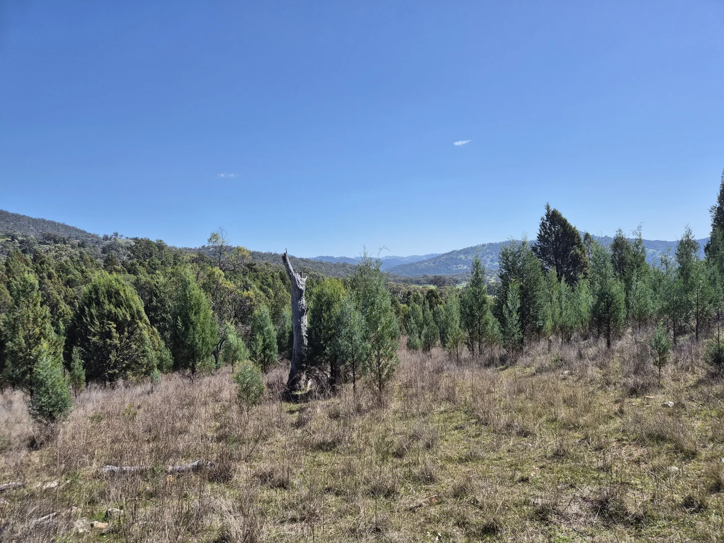 Additional image 13 of 46 Worlds End Rd, Yarrabin NSW 2850