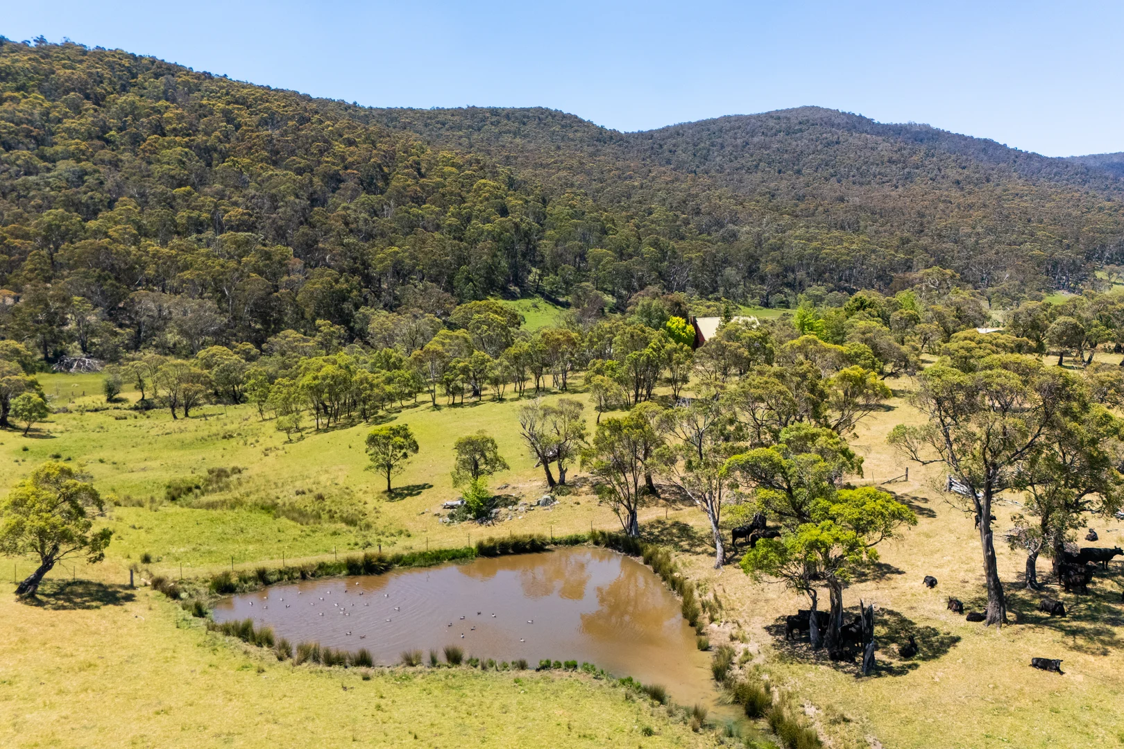 Additional image 33 of 632 Big Yard Road, Moonbah NSW 2627