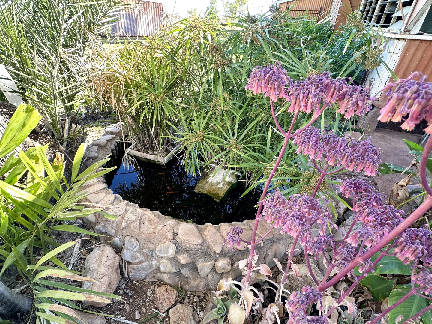 Additional image 4 of 114 Railway Street, Cloncurry QLD 4824