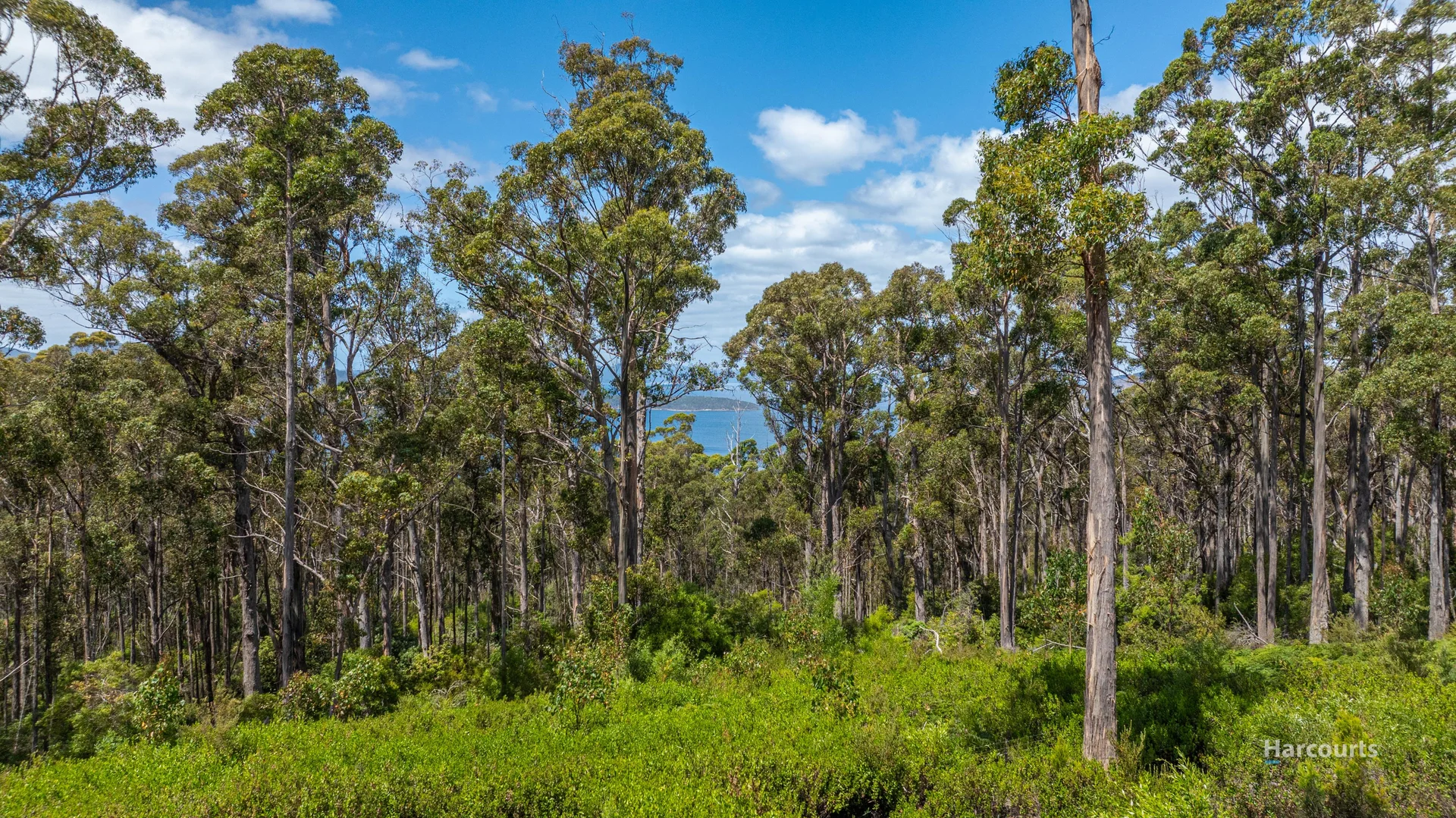 Additional image 4 of Lot 2/64 Klynes Road, Lymington TAS 7109