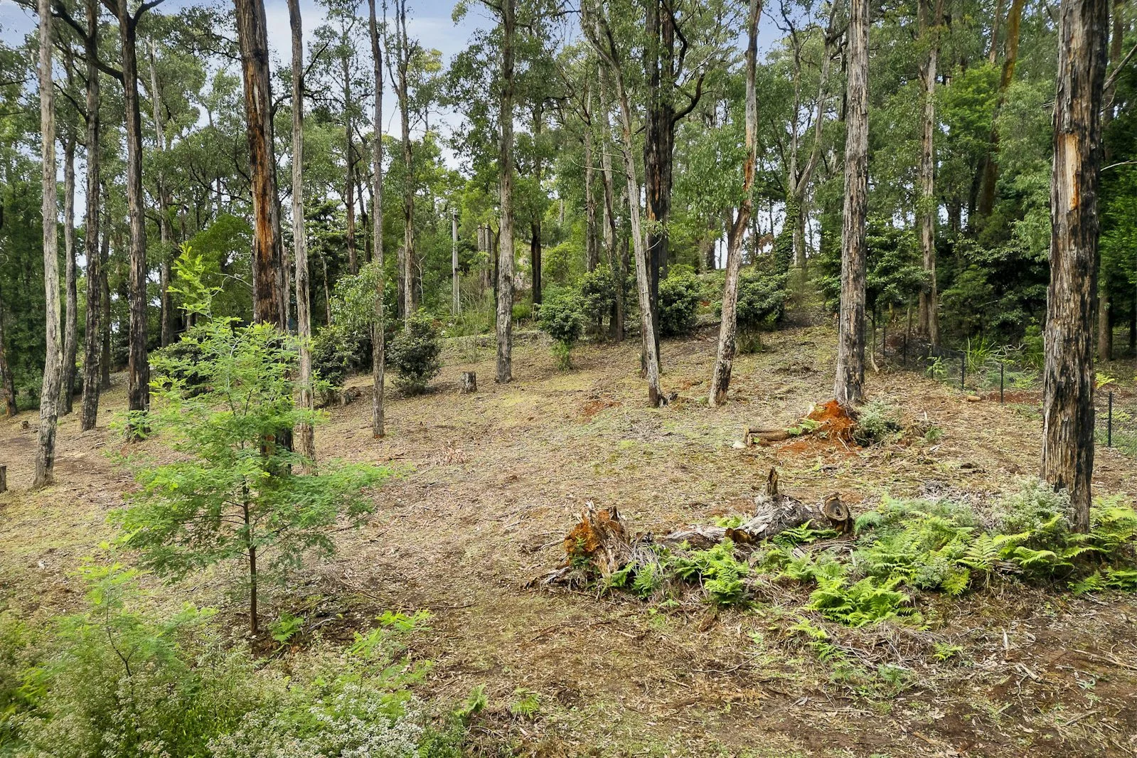 Additional image 6 of 52A View Hill Road, Cockatoo VIC 3781