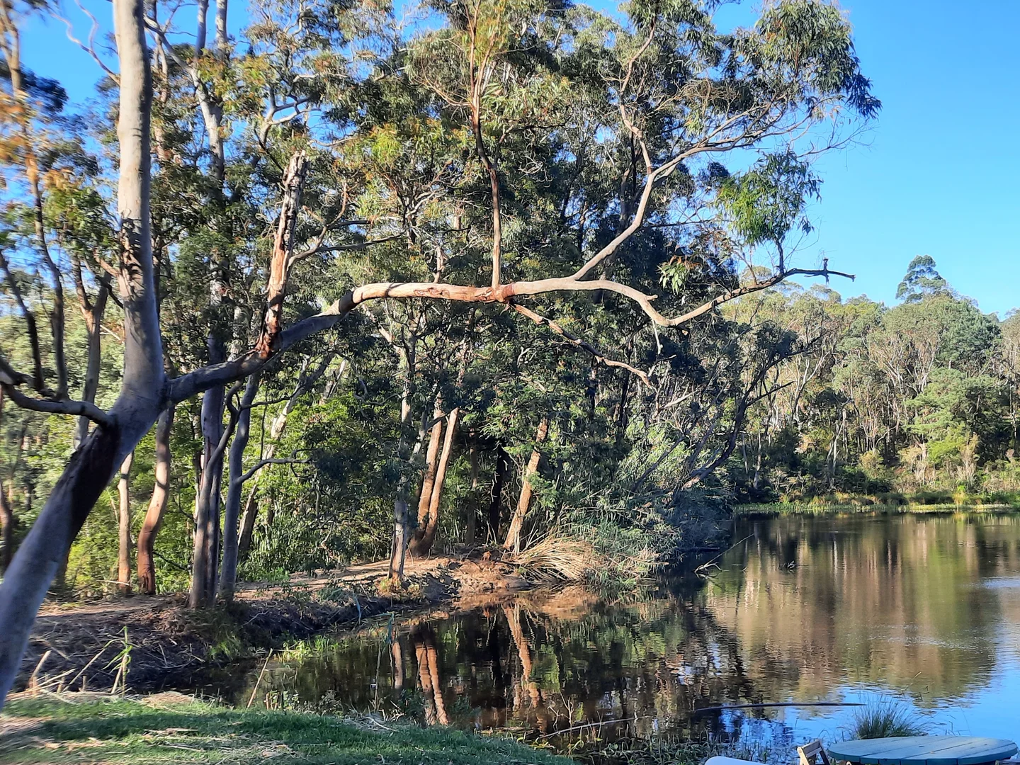 Additional image 14 of 2 Sunnyridge Road, Arcadia NSW 2159