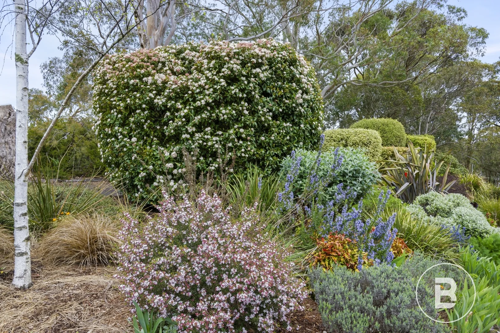 Additional image 34 of 16 Gear Avenue, Mount Helen VIC 3350