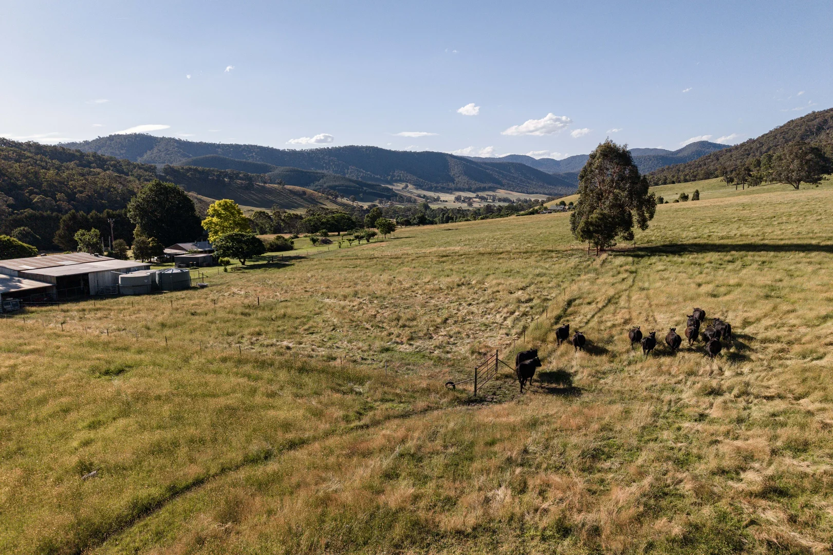 Additional image 22 of 495 Kancoona South Road, Kancoona VIC 3691