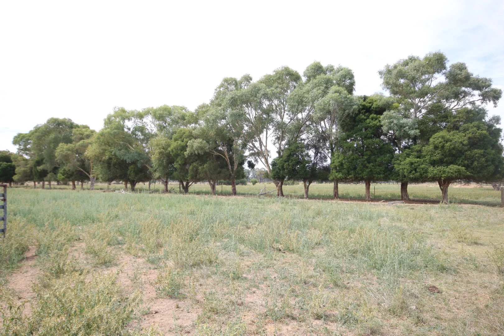 Additional image 7 of Lot 3 McGrath Road, Stanhope VIC 3623