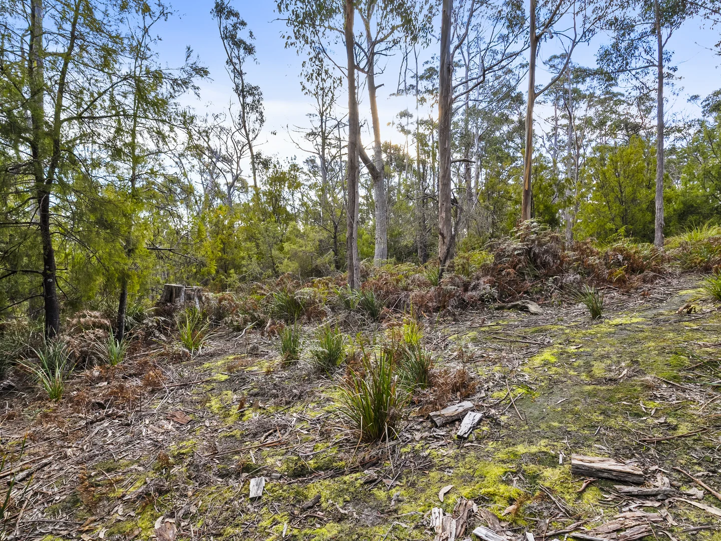Additional image 10 of Lot 4 Tip Road, Nubeena TAS 7184