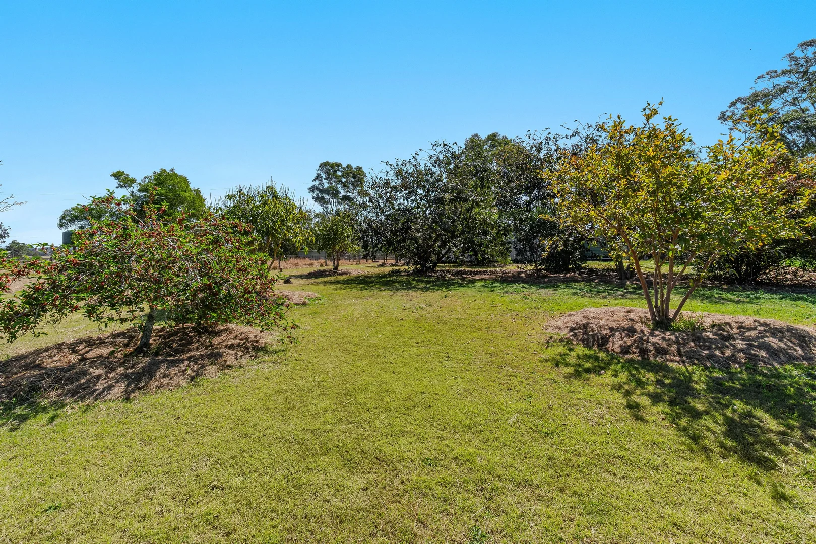 Additional image 12 of 370 Brookers Road, Shannon Brook NSW 2470