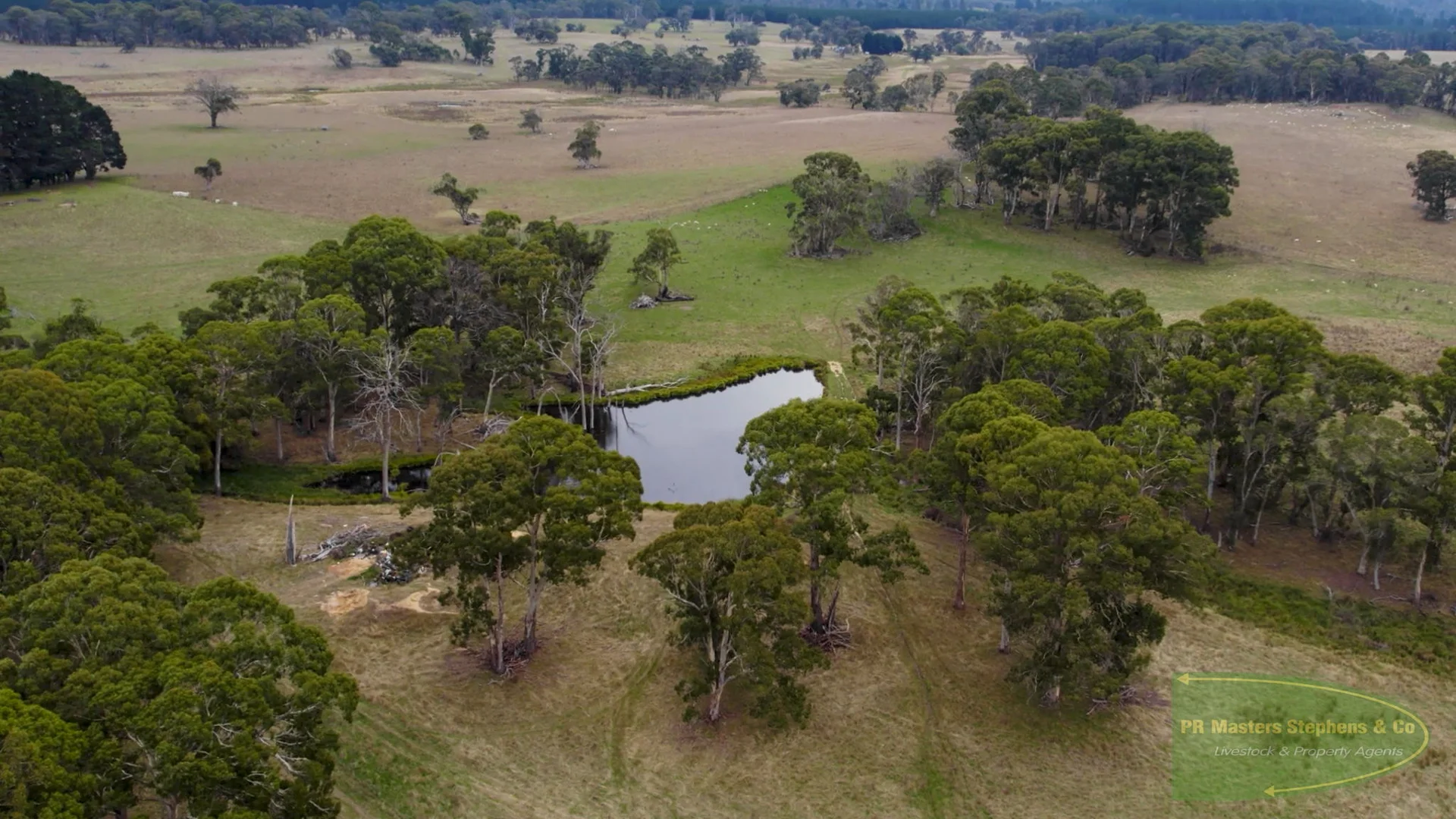 Additional image 50 of 800 Riverview Forest Road, Mozart NSW 2787